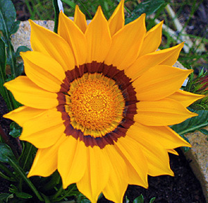 Le blog: mesreves-marealite.hautetfort.com